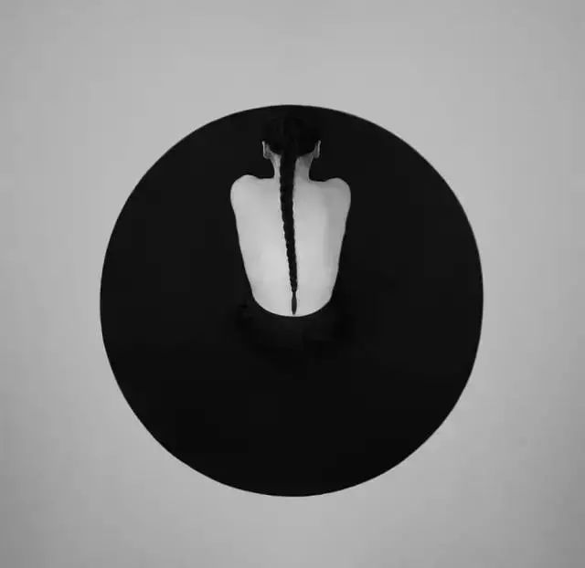 艺术资讯 | Noell S. Oszvald的迷思和解读