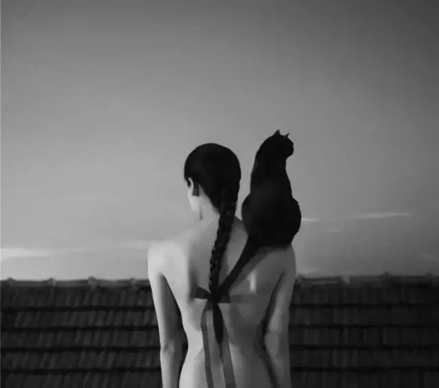 艺术资讯 | Noell S. Oszvald的迷思和解读