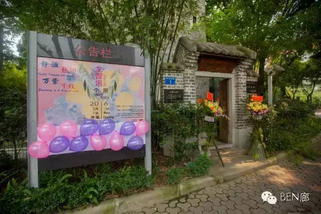 【开幕回顾】静谧热切 万紫千红——龙智培个展