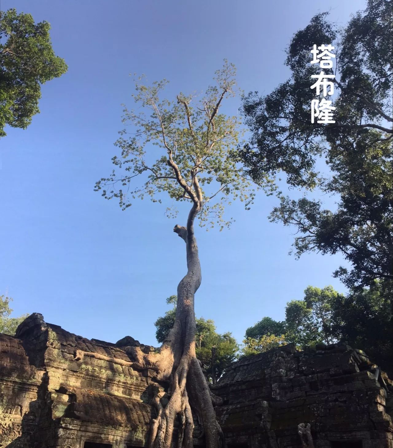 柬埔寨 | 神之国度，行走人间